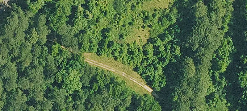 Mature Timber Tract For Sale