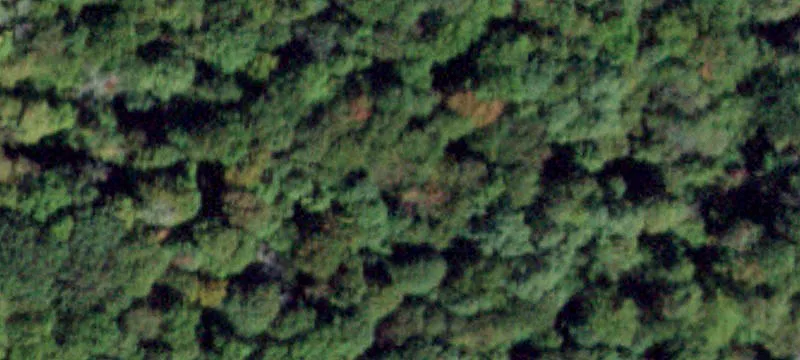 Prime Land Near Amazon Facility