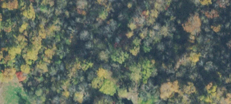 Land Available in Byrdstown, TN