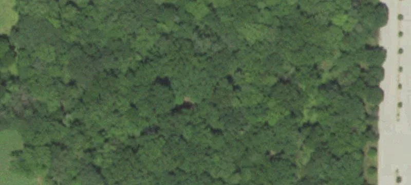 Land Tracts in Residential Area