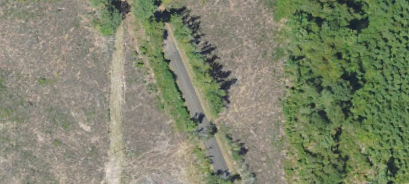 12-Acre Cutover Land Tract