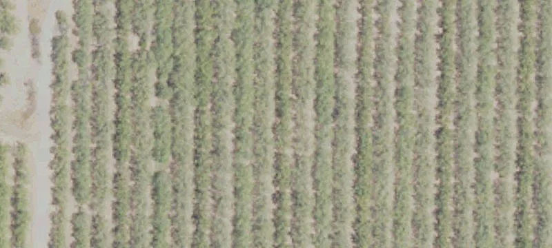 Arbuckle Agricultural Land Parcel