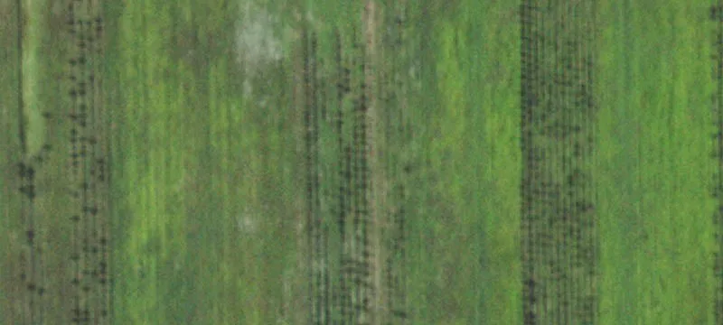 Land For Sale Peotone, IL