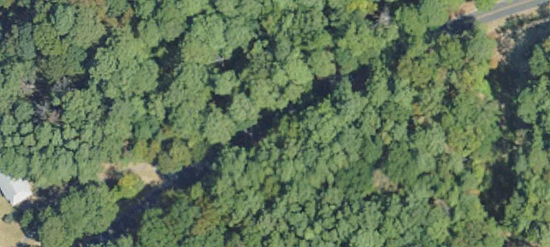 Amite County Hunting Land