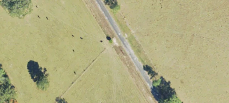 Jasper County Cattle Ranch
