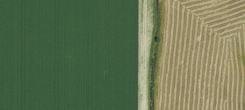 Productive Farm with Recreational Potential