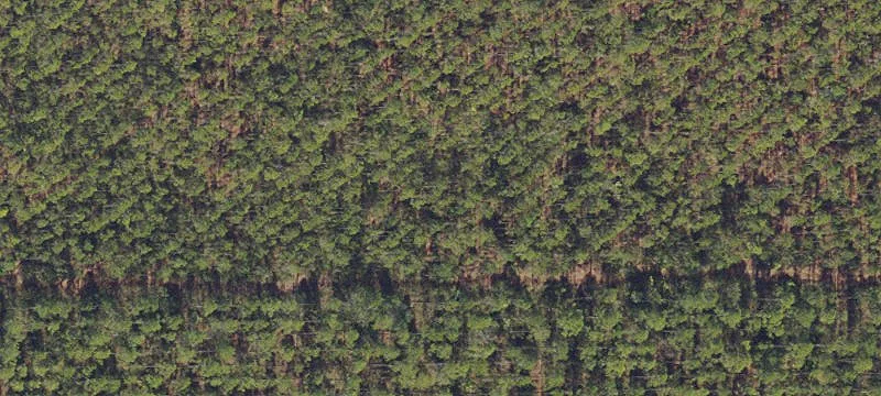 748 Acre Farm on St. Mary's