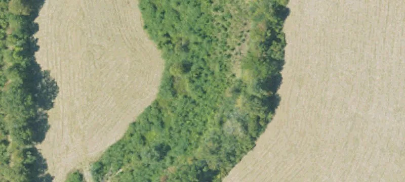 Pasture & Hunting Land For Sale