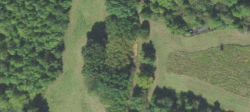 Heavily Timbered Land For Sale
