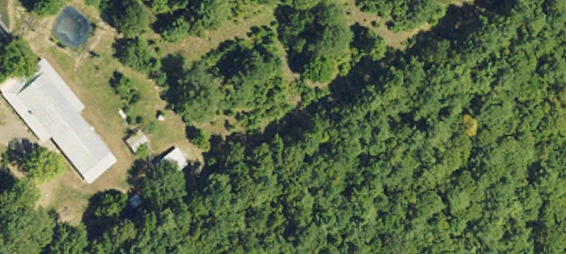 310 Acres Timber Investment Property