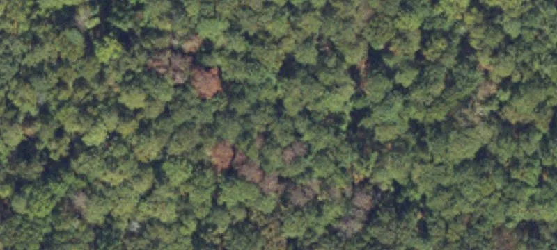 Land Near Stonecrest Mall