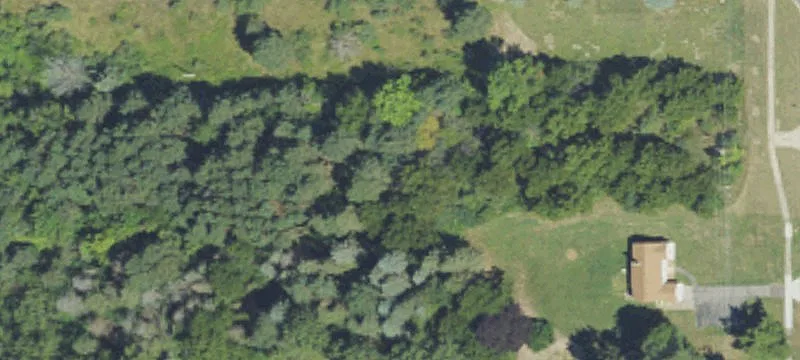 Vacant Land Near I-69