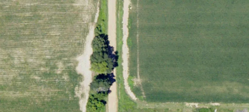 Sunflower County CRP Land For Sale