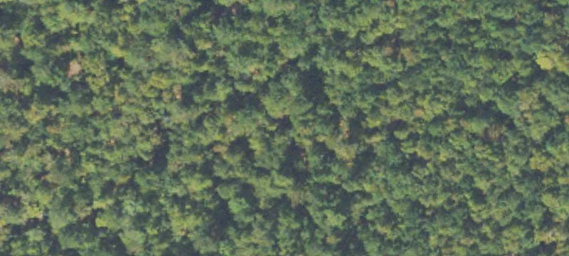 5 Acres Commercial Land Available