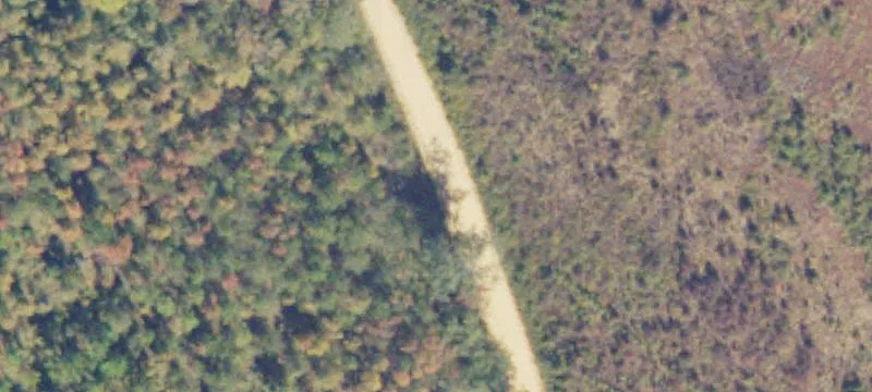 191 Acres with Longleaf Pines