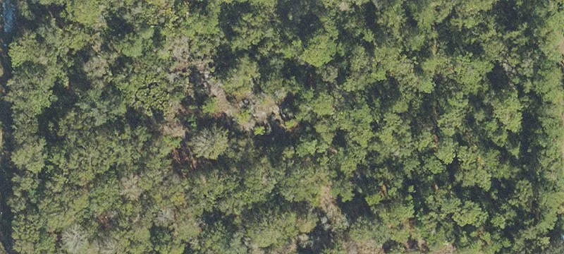Commercial Land on Boggy Creek