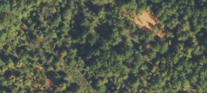 162+ Acres Developable Subdivision Land