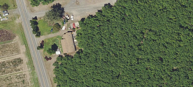 Hazelnut Orchard with Dwellings