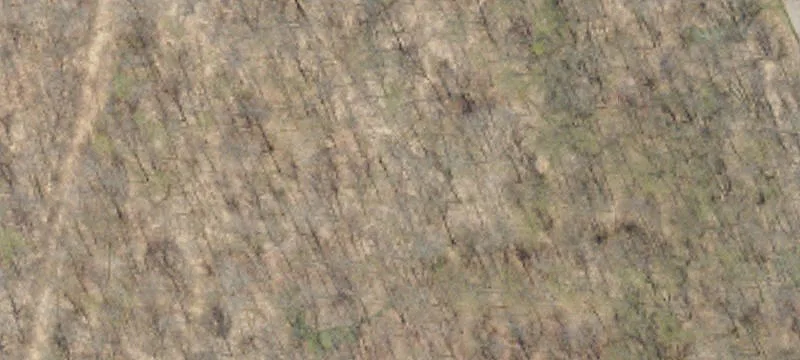 60+ Acres Development Site