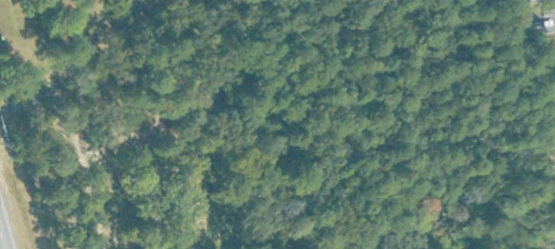 8.5 Acres at Intersection
