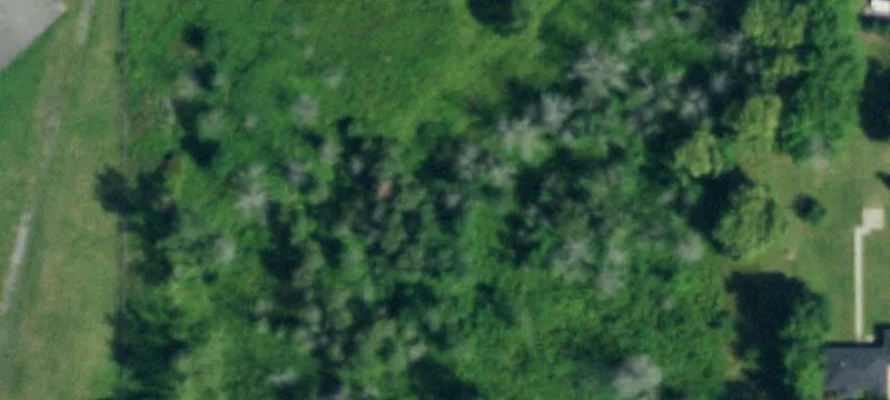 West Seneca Vacant Commercial Land