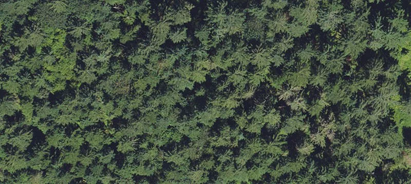 28 Acres Molalla River Property