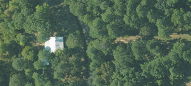 625 Acres of Timberland