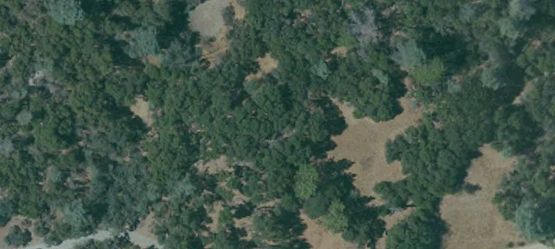 67 Acres with Creek Access