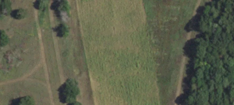15 Acres of Texas Land