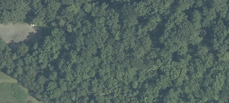 Commercially Zoned Land with Income