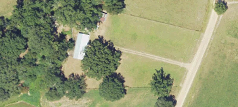 Poultry Farm on Cattle Pastureland