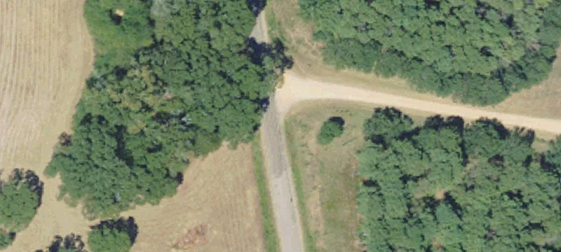 Poultry Farm Near Magnolia, MS