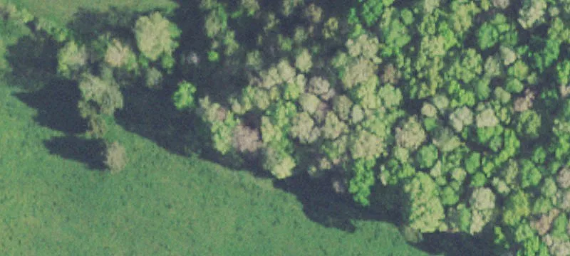 Secluded Acreage in Hamilton County