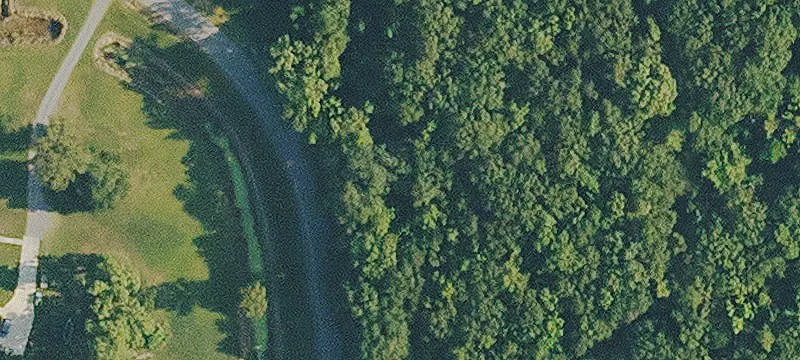 92 Acres Wooded Land