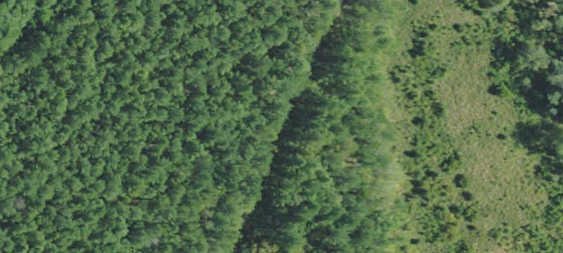 Walthall County Hunter's Retreat