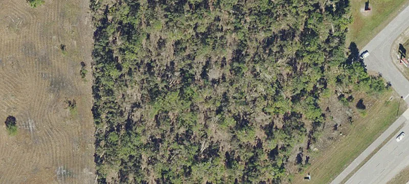 Commercial Land For Rent