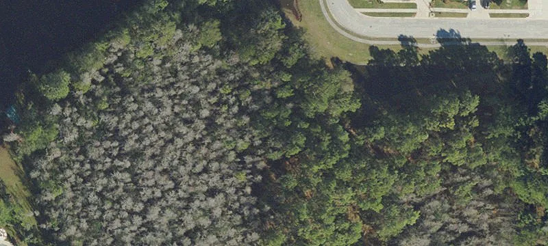 Land Available For Lease