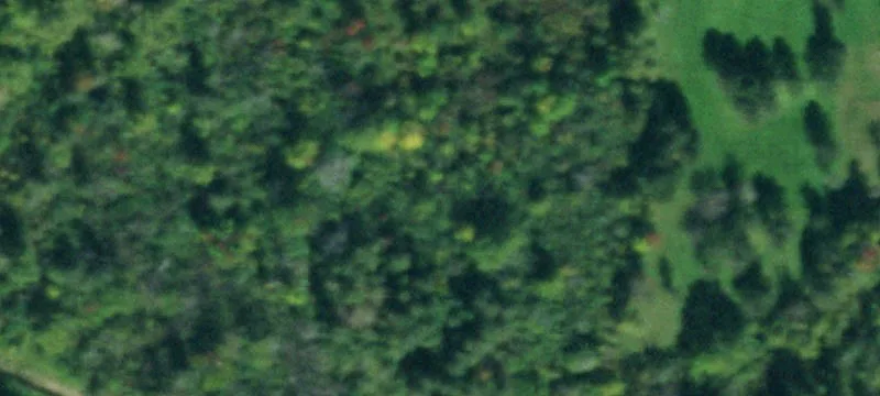 Residential Land in Orchard Park