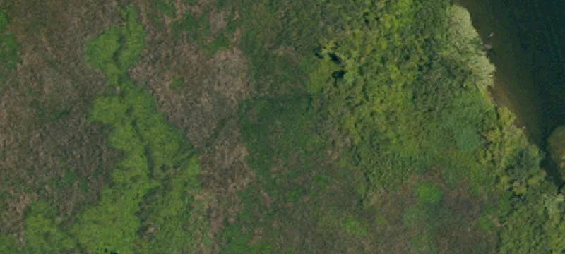 San Joaquin Delta Island Land