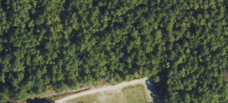 Land on Shaw Highway