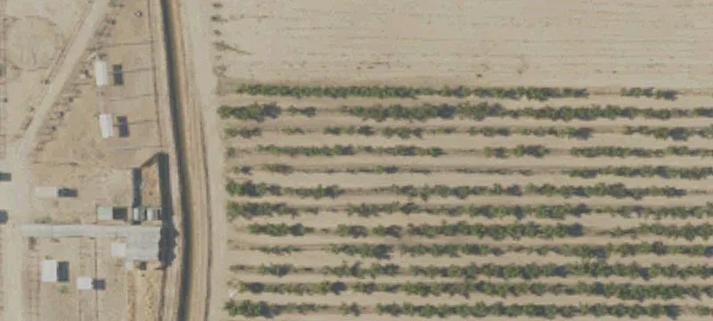 Land with Frontage on CA-99