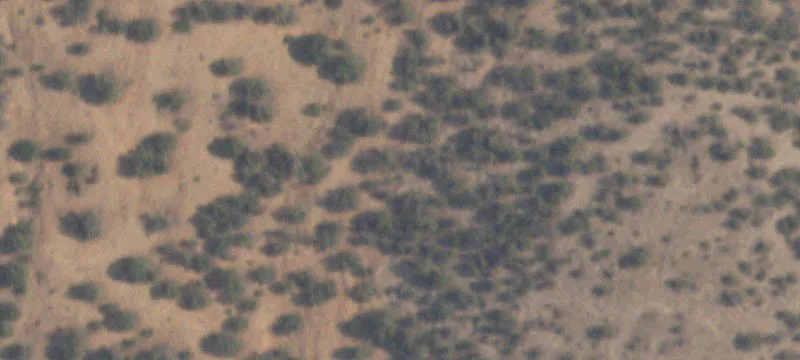 40 Acre Parcel Ready to Build