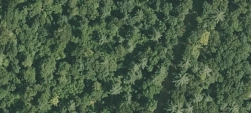 79 Acres Agricultural/Industrial Land