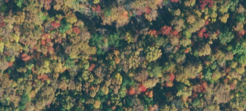 Land Available in Dunlap, TN