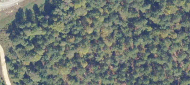 Caroline County Industrial Land Available