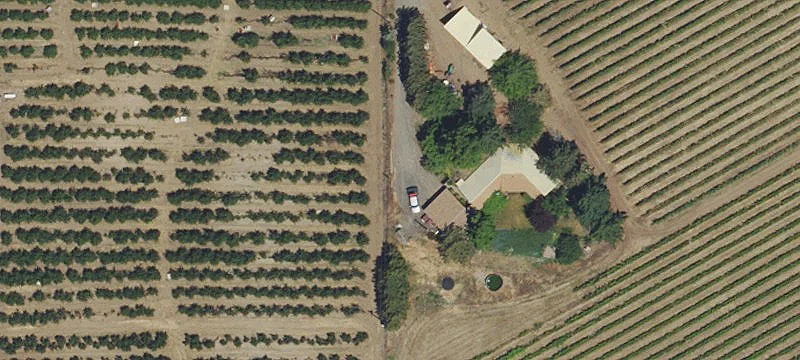 29-Acre Vineyard Property