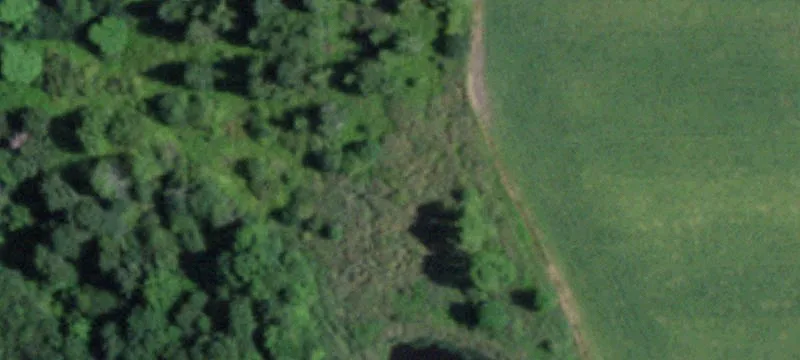 Hunting Land with Steel Building