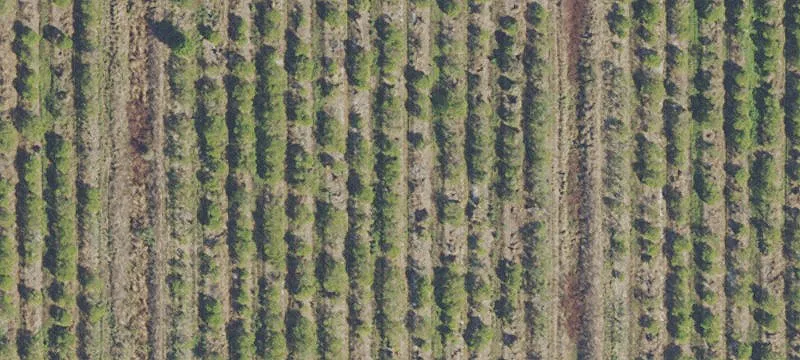 460 Acres in Hendry County