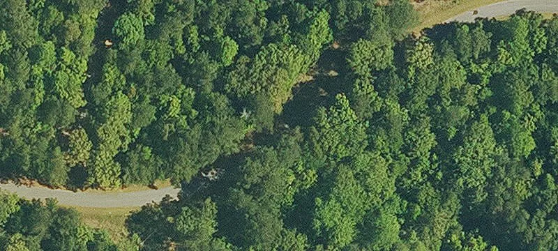 Hunting Land Near St. Francisville