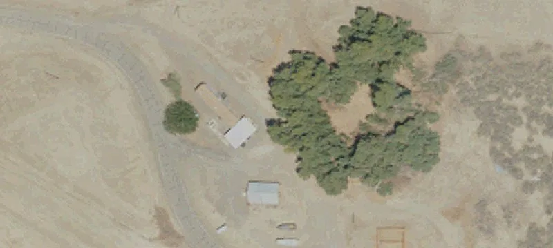 80 Acres of Grazing Land